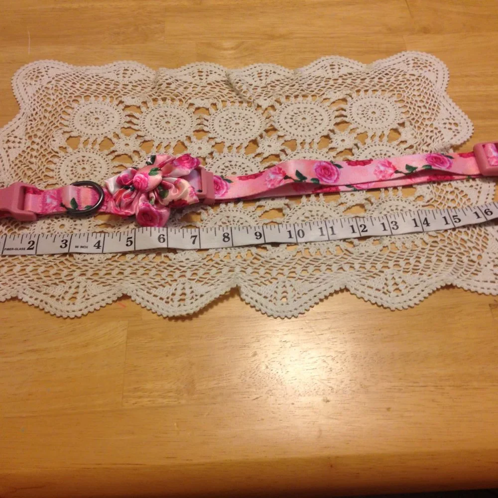 Large Dog Collar, new out of packaging